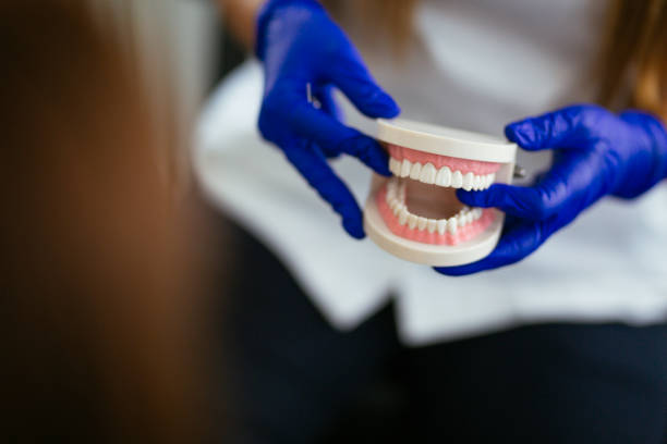 Reliable Bridgeport, IL  Holistic Dental Services Solutions